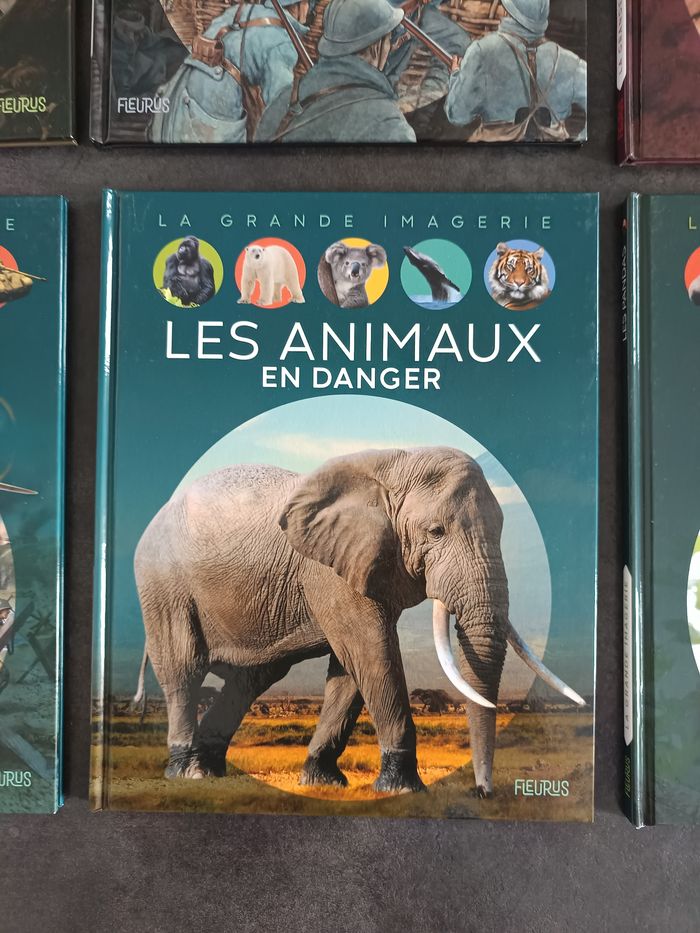 Livre la grande imagerie - photo numéro 9