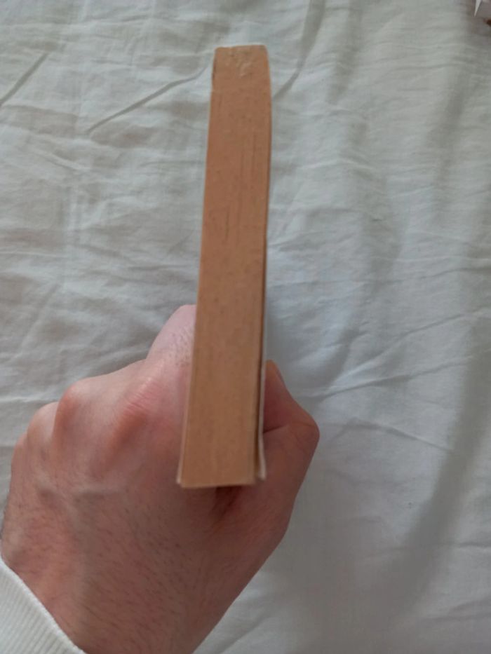 Ravage - photo numéro 5