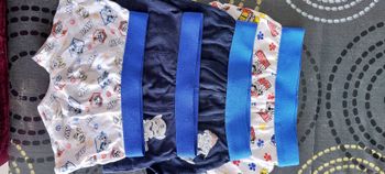 Lot 4 caleçons pat patrouille 