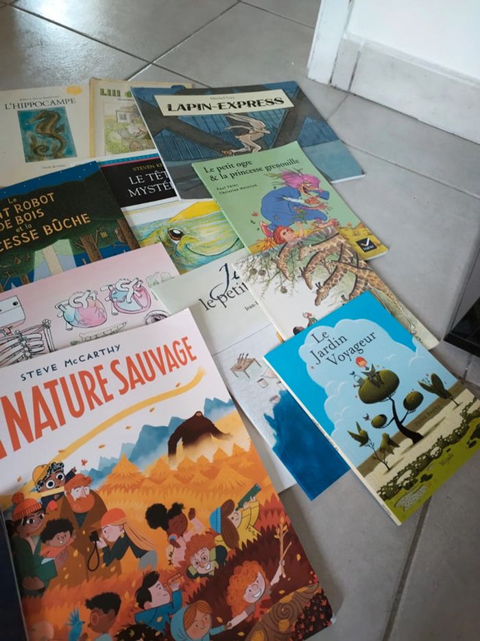 Lot 16 livres histoires albums jeunesse - photo numéro 4