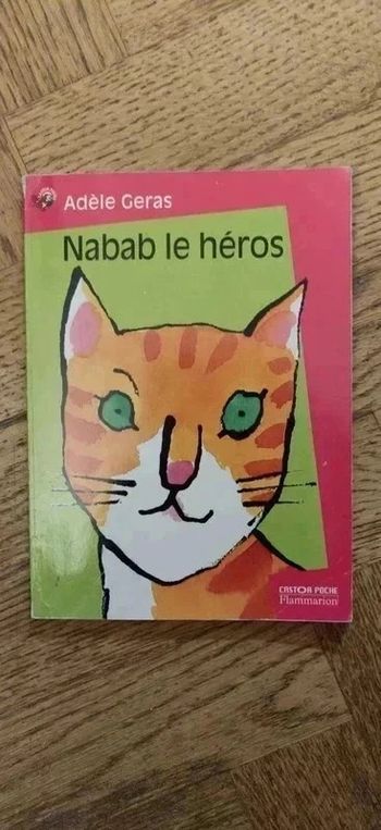 Livre - Nabab le héros