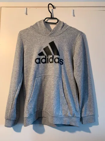 sweat a capuche gris Adidas