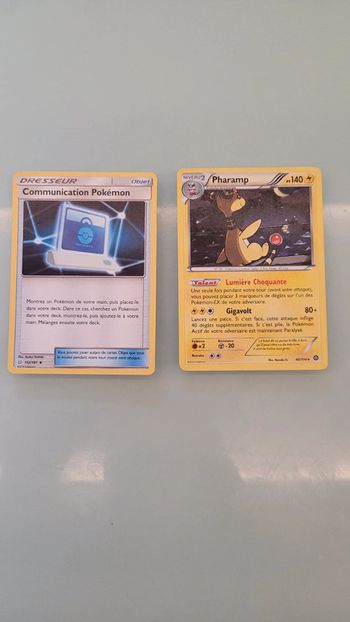 Lot 2 cartes Pokémon