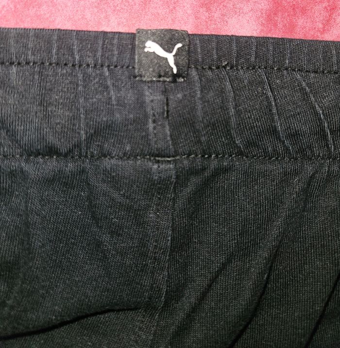 Short puma - photo numéro 3