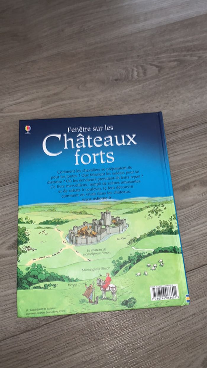 Fenêtre sur les châteaux forts - photo numéro 3