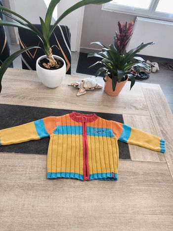 Gilet zippé garçon 18 mois Levi's Red Tab
