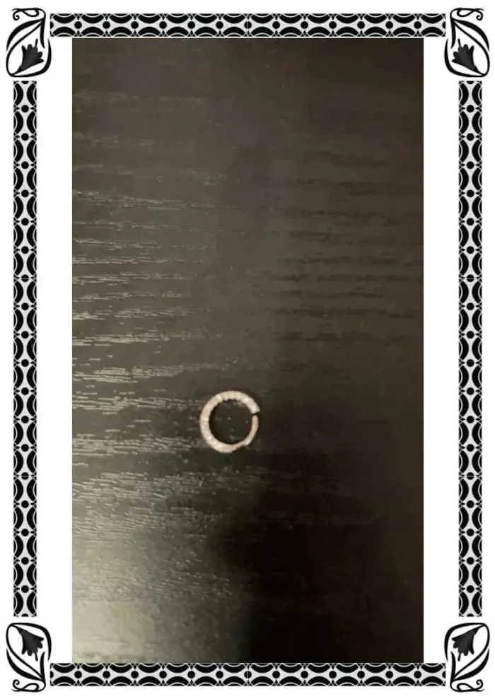 Percing - photo numéro 2