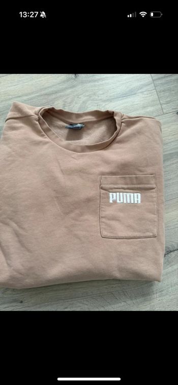 Pull puma