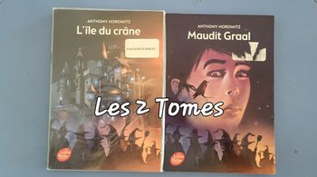 T1&2 David, L'île du crâne & Maudit Graal de Anthony Horowitz