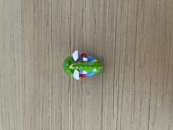 Crocodile Figurine Kinder