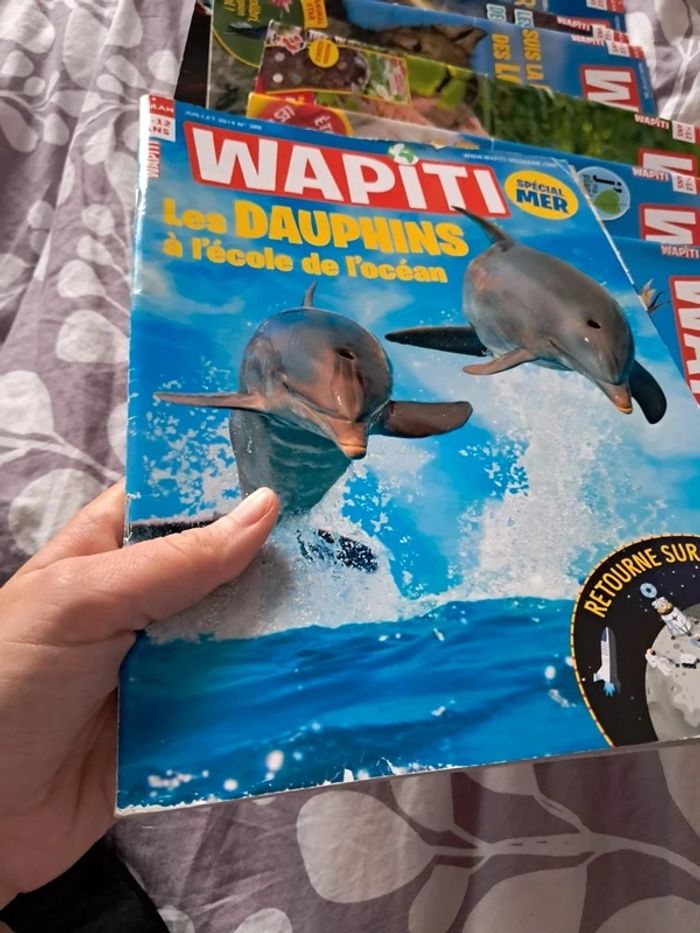 Lot 12 magazines wapiti - photo numéro 2