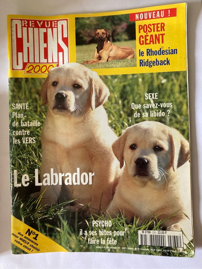 Lot 2 Revue Chiens 2000 - photo numéro 2