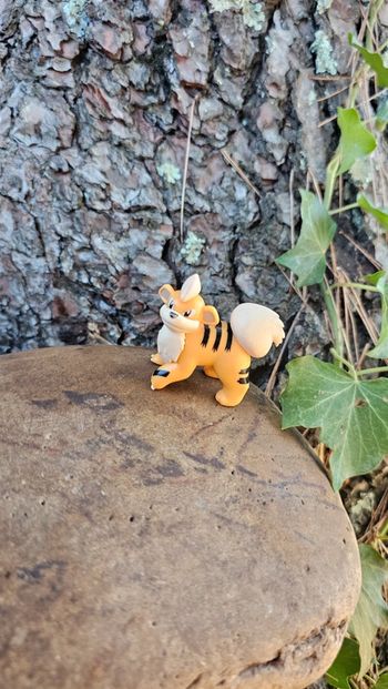 Super figurine Pokemon Nintendo Caninos