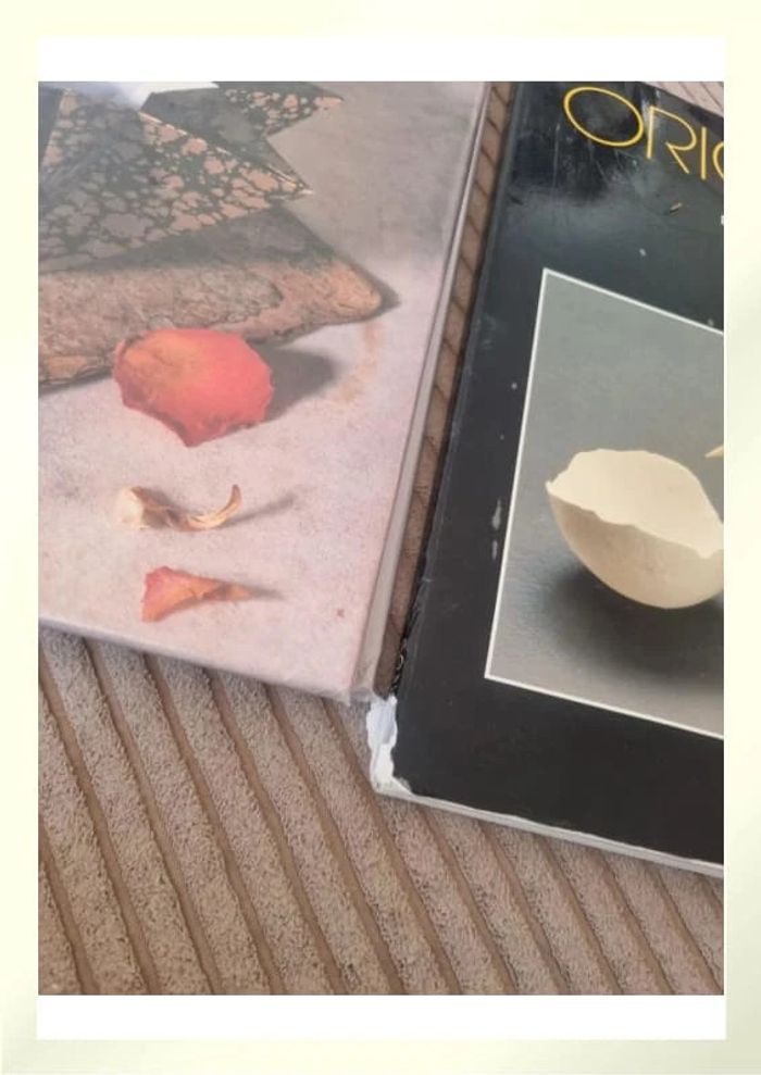 Livres origami - photo numéro 2