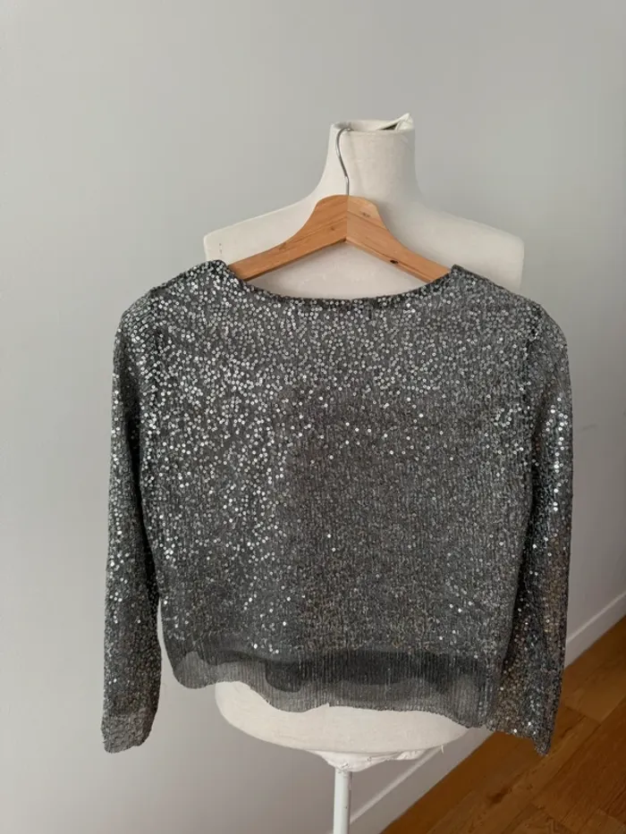 Haut court Sequins Zara S/36 - photo numéro 3