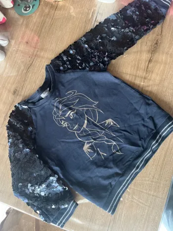Pull Frozen 2 / reine des neiges 2