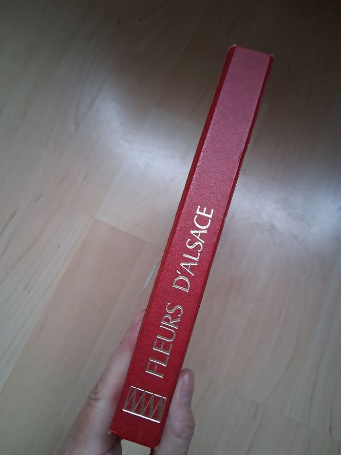 Ancien livre sur les fleurs d'Alsace - photo numéro 2