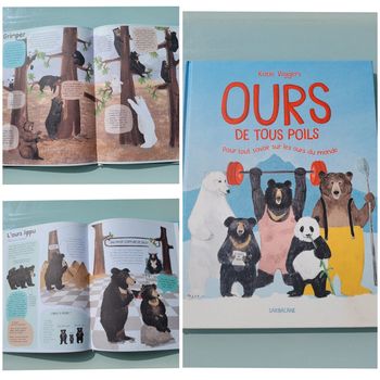 🐻 Ours de tous poils 🐼 pour tout savoir sur les ours du monde