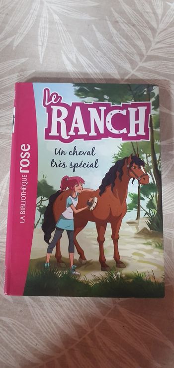 Le ranch un cheval très spécial