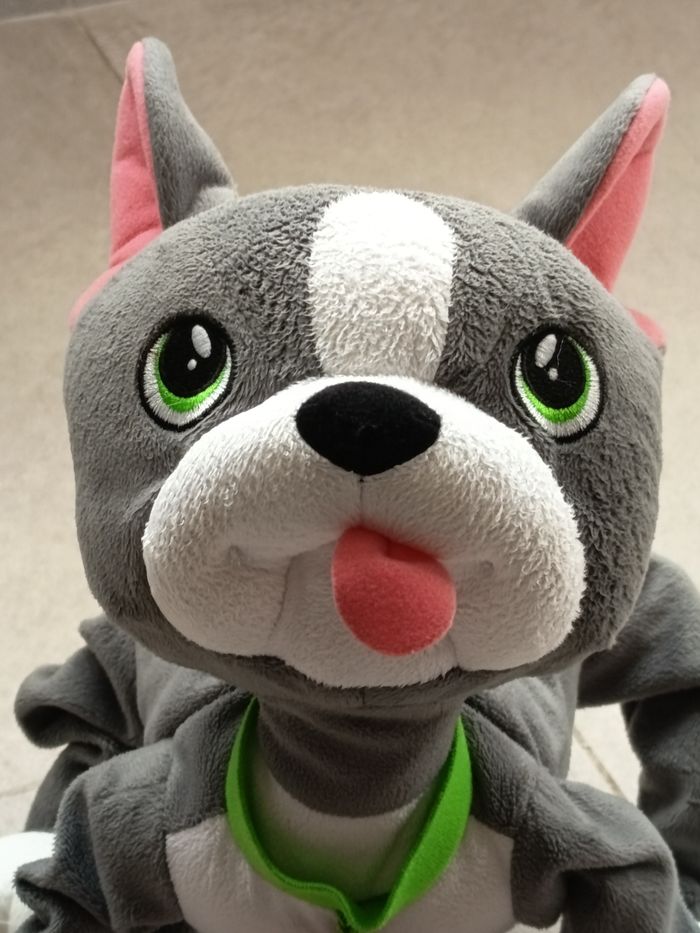 Toufous - Bulldog - photo numéro 2