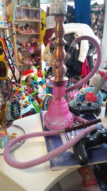 Chicha rose