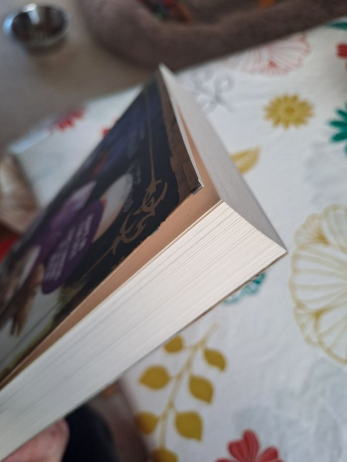 Dark crystal - photo numéro 5