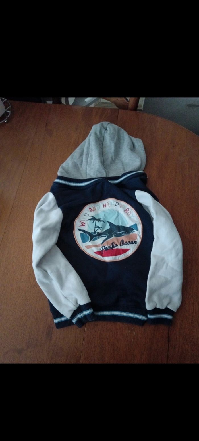 Veste - photo numéro 3