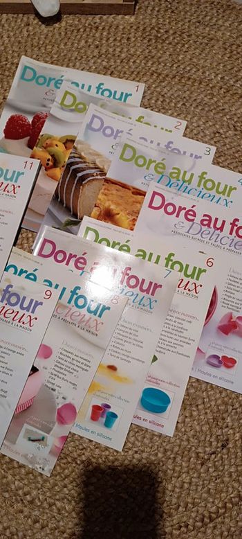 Lot revues de recettes de cuisine doré au four