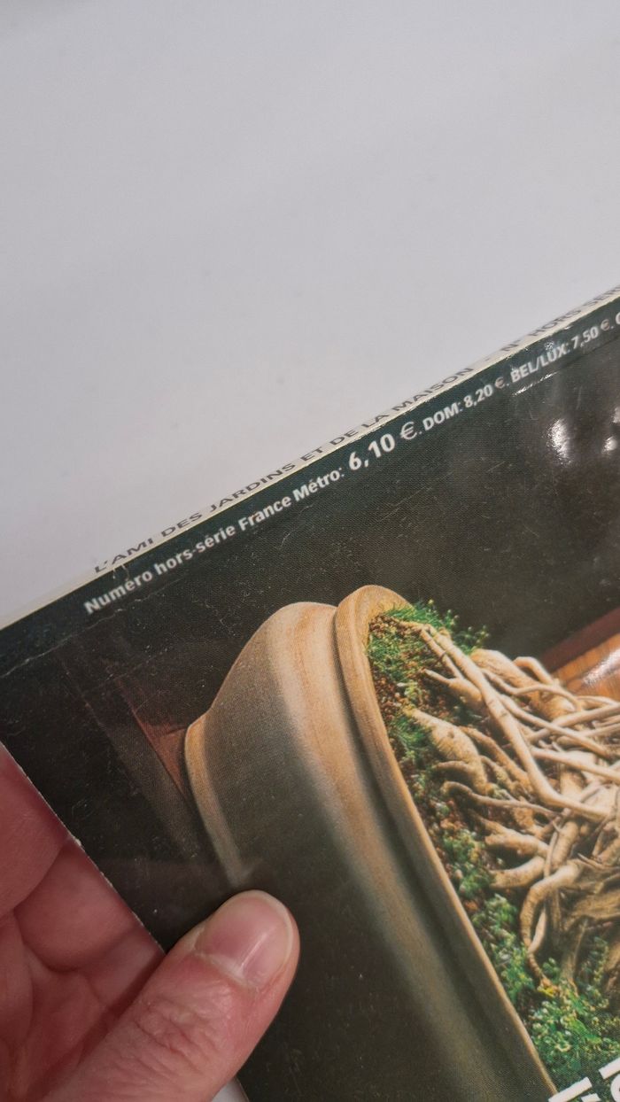 Magazine "Mon premier bonsaï " - photo numéro 8