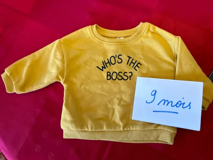 Sweat Orchestra bébé garçon - 9 mois