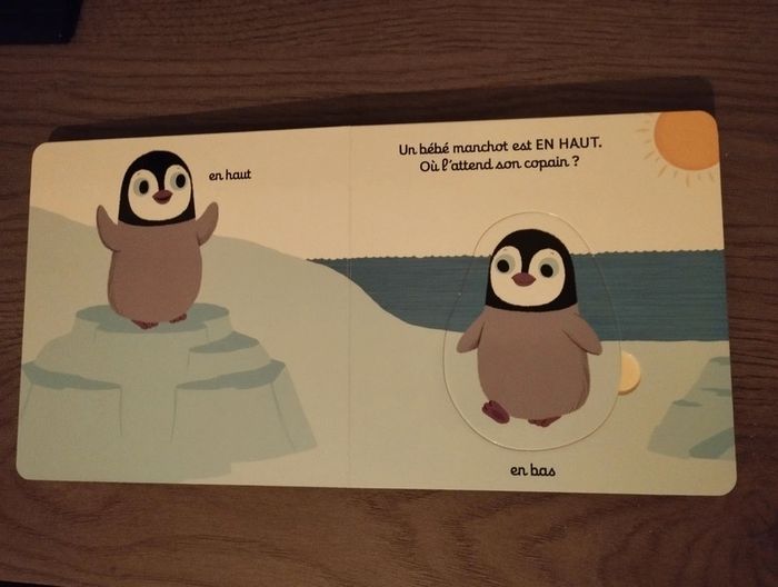 Livre neuf Mes premiers contraires kididoc - photo numéro 4