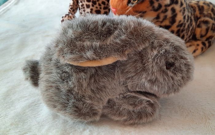Peluche - photo numéro 3