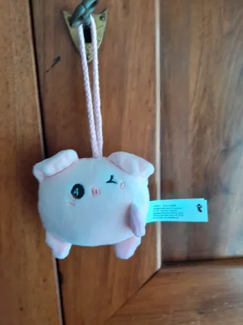 Couple peluches
