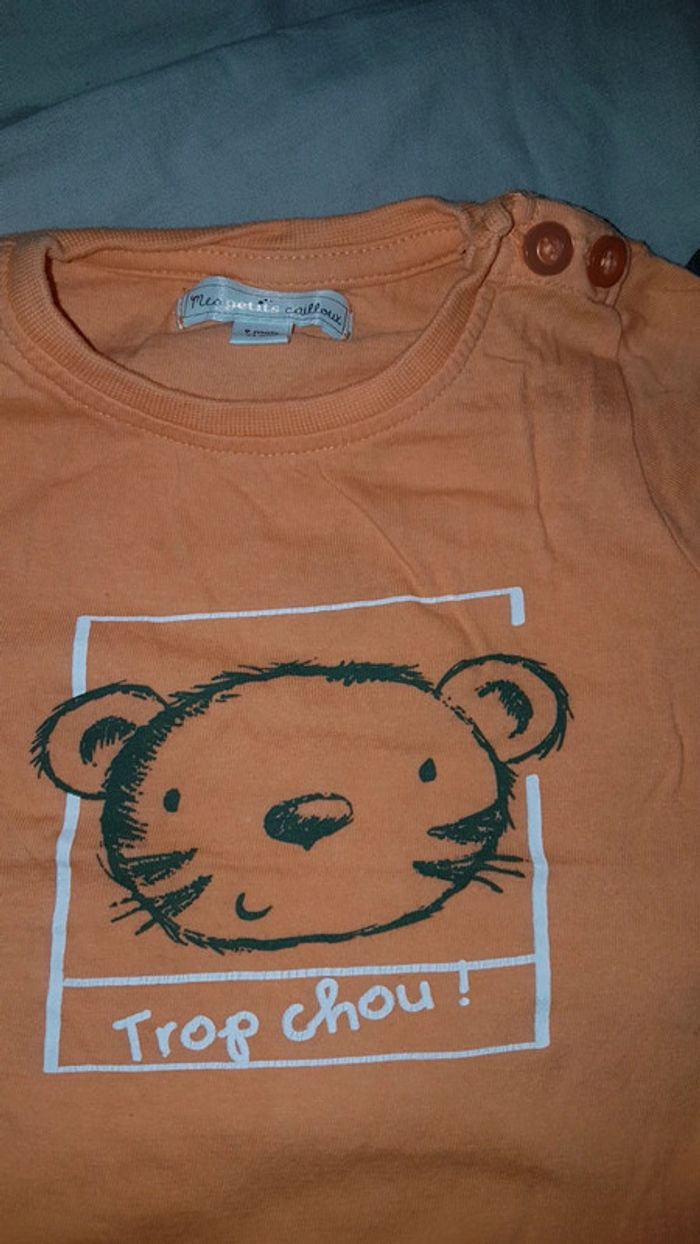 T-tshirt 9mois-71cm mes petits cailloux - photo numéro 2