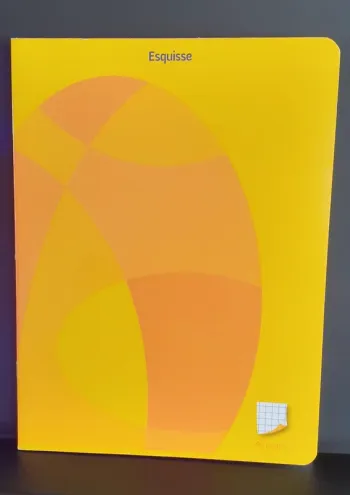 1 cahier Esquisse petits carreaux neuf