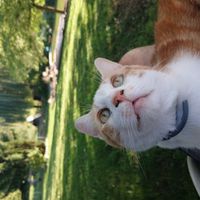 profil