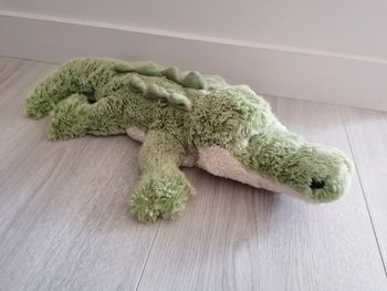 Crocodile histoire d ours