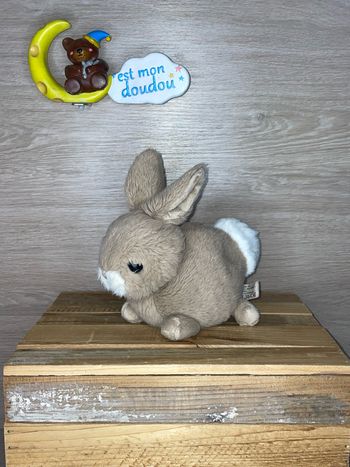 BK169 doudou lapin 🐰 bukowski