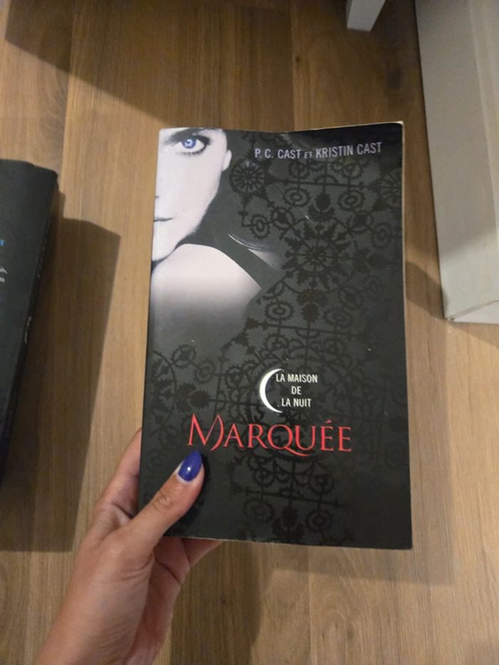 Lot de 3 livres la maison de la nuit marquée trahie choisie - photo numéro 14