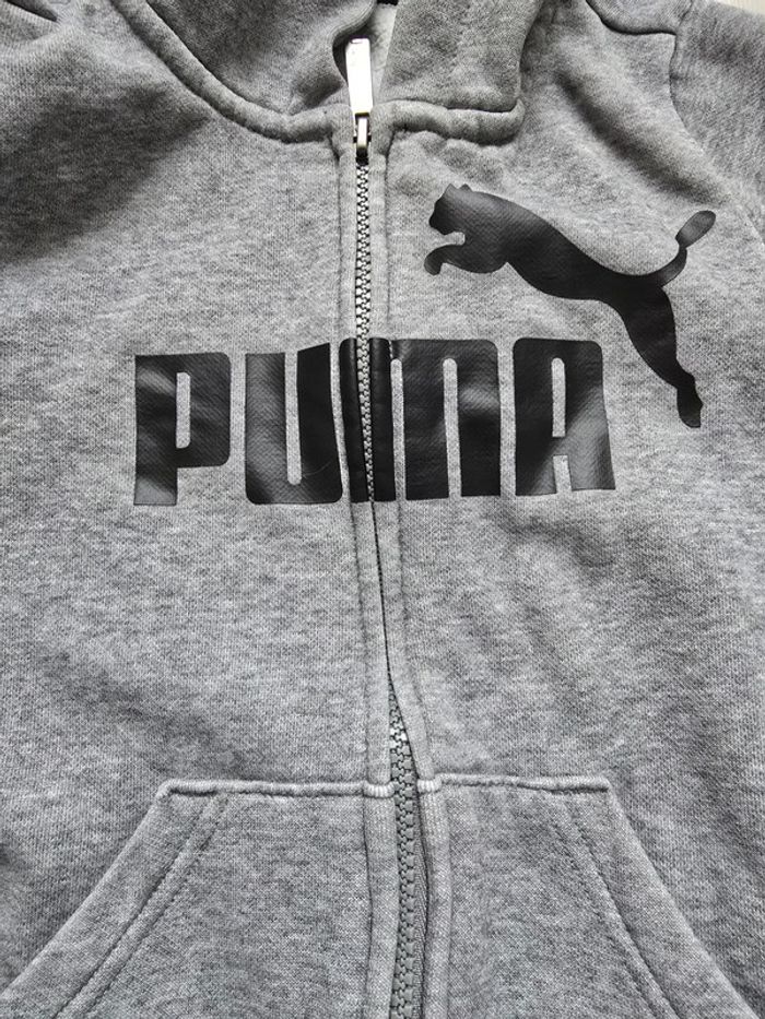 Veste - photo numéro 2