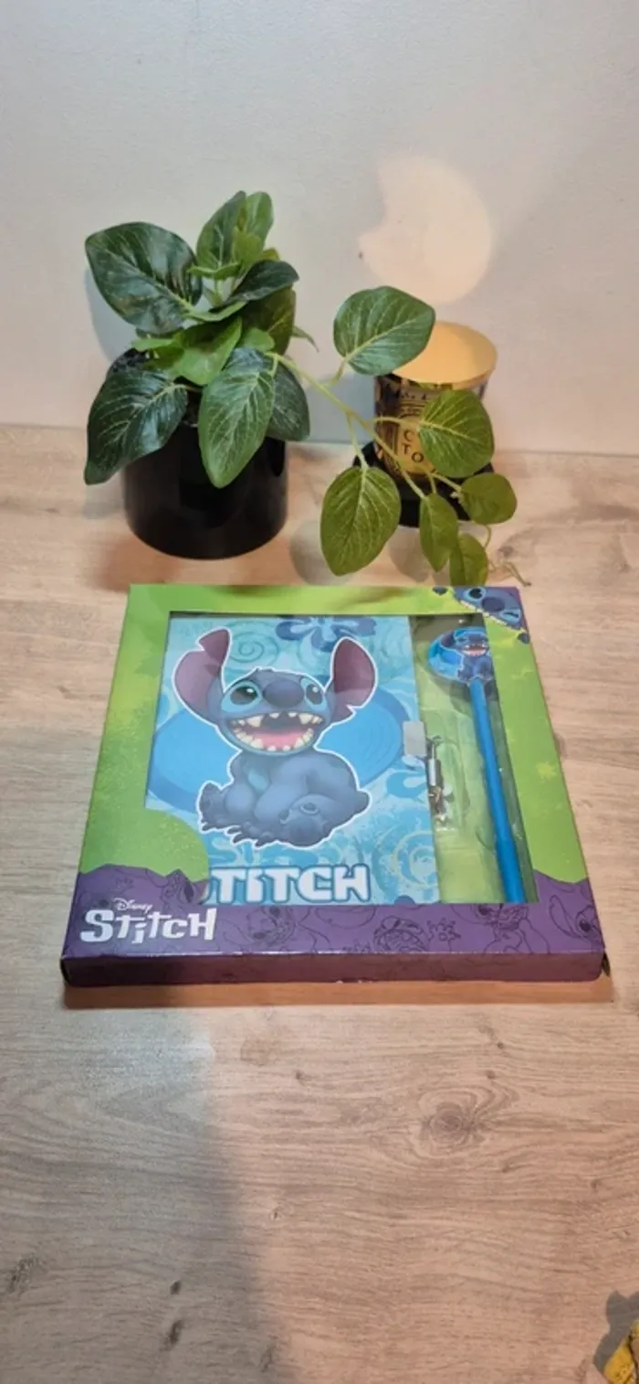 Journal intime stitch