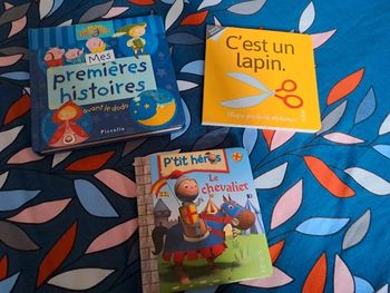 Lot de 3 livres jeune enfant