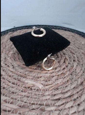 Boucles D'oreilles  créoles T5