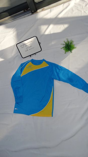 Tee shirt manche longue bleu sport Pro Touch