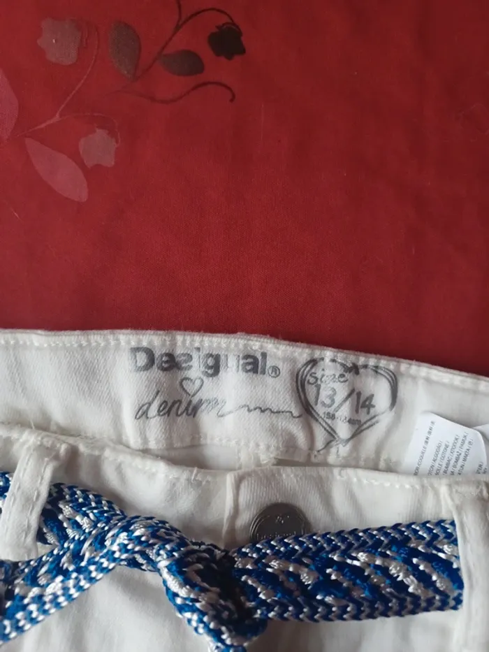 Lot shorts - photo numéro 7