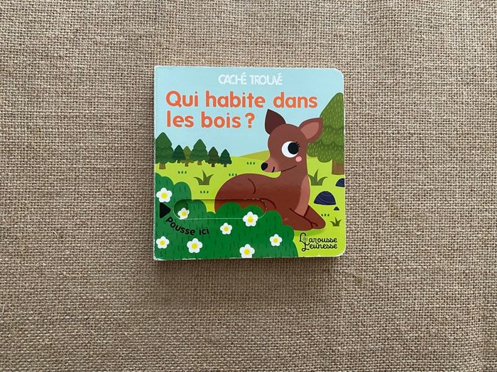 Livre Qui habite dans les bois ? Caché Trouvé Larousse Jeunesse