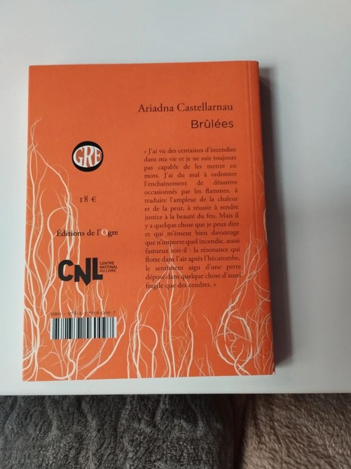 Livre brûlées Ariadna Castellarnau - photo numéro 2