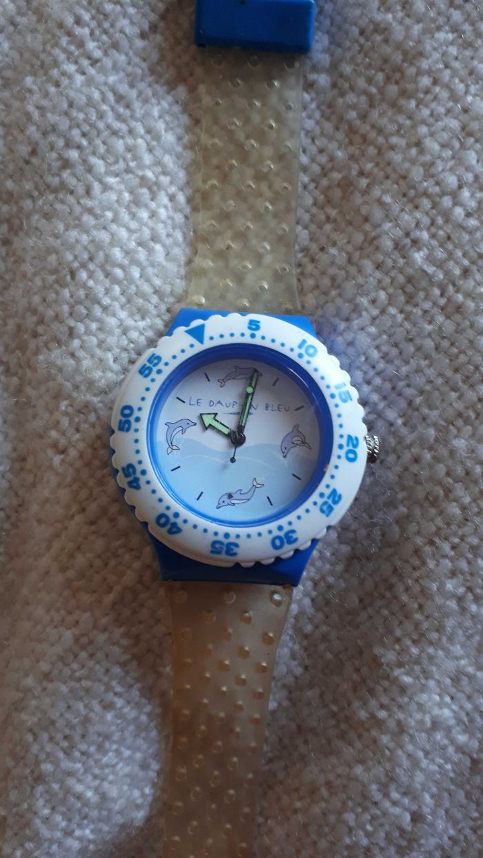 Montre dauphin