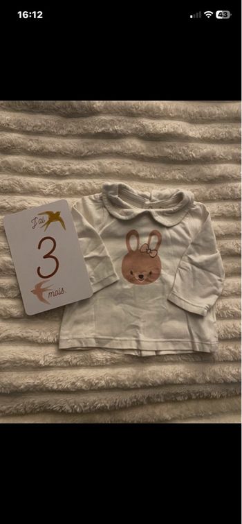 T shirt bebe lapin