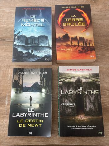Lot collection complète trilogie livres labyrinthe + le destin de newt